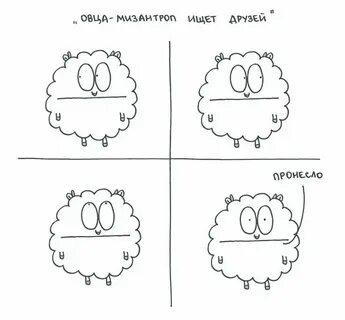 О чем думают овцы