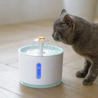 Лучшая автопоилка для кошек