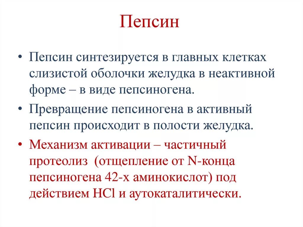 Пепсин. Пепсин фермент. Пепсин характеристика фермента. Пепсин группа ферментов.