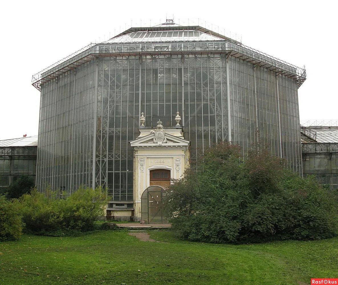 питер павловский сад. ботаника павловск. павловский парк придворцовый район. ботаника павловск. константиновский дворец петергоф.