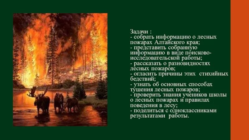 Лесные пожары вывод. Заключение Лесные пожары. Вывод по лесным пожарам. Вывод по теме Лесные пожары.