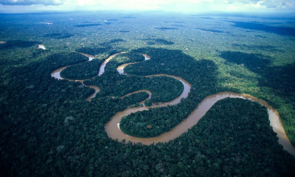 Amazon borneo congo. Бразилия Амазонская низменность. Река Амазонка в Бразилии. Амазонка Укаяли Мараньон. Южная Америка Амазонская низменность.