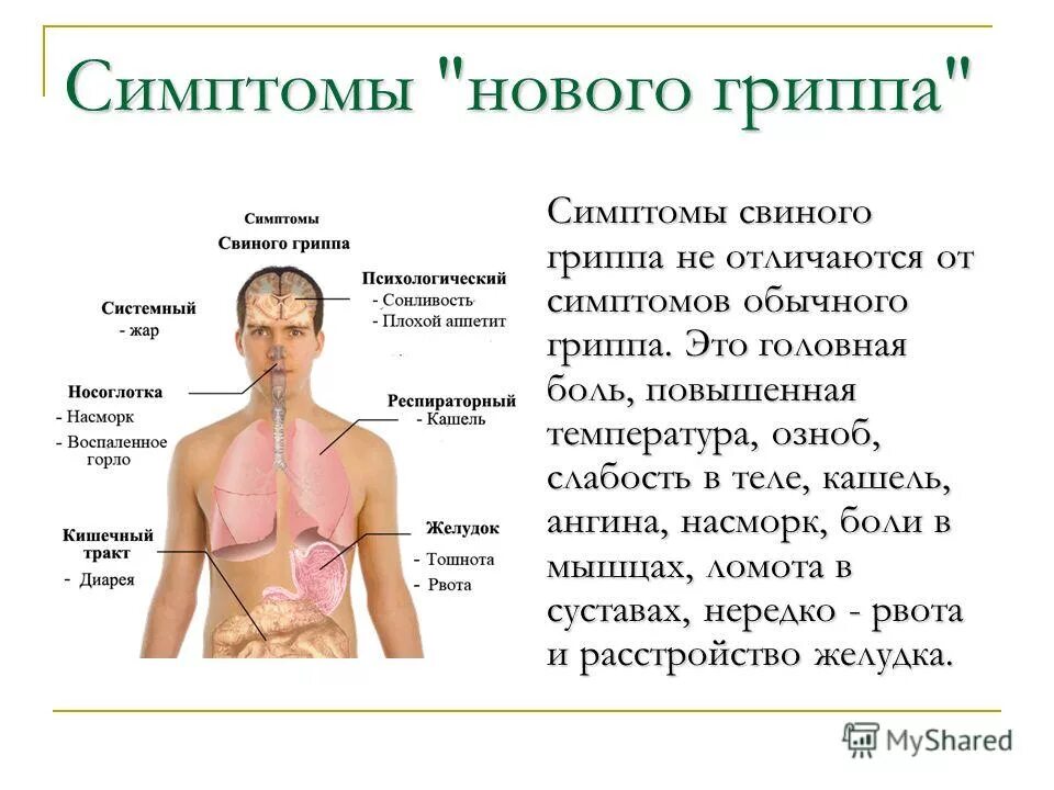 Грипп болят мышцы. Симптомы. Симптомы нового гриппа.