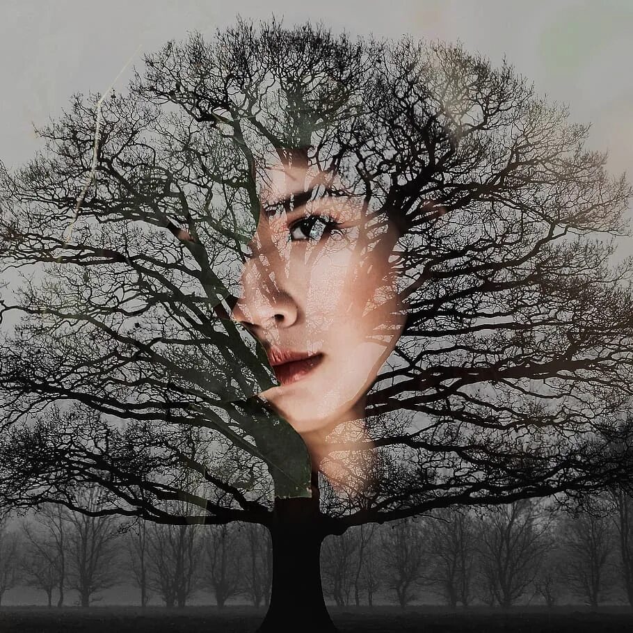 Картинки лицо дерево. Девушка дерево. Деревья с лицами женщин. Лицо из веток. Дерево с женским лицом.
