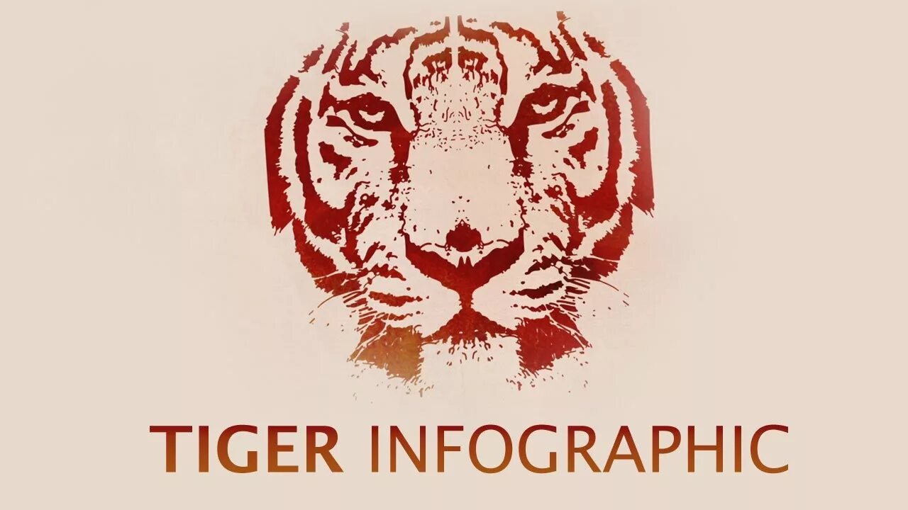 Тигр инфографика. Инфографика о Тигре. Амурский тигр инфографика. Инфографика Амурский тигров. Тигр притча