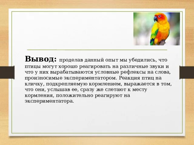 С чем связаны рефлексы у птиц. Рефлексы птиц. Условные рефлексы птиц. Выработка условного рефлекса у птиц. Условные рефлексы птиц примеры.