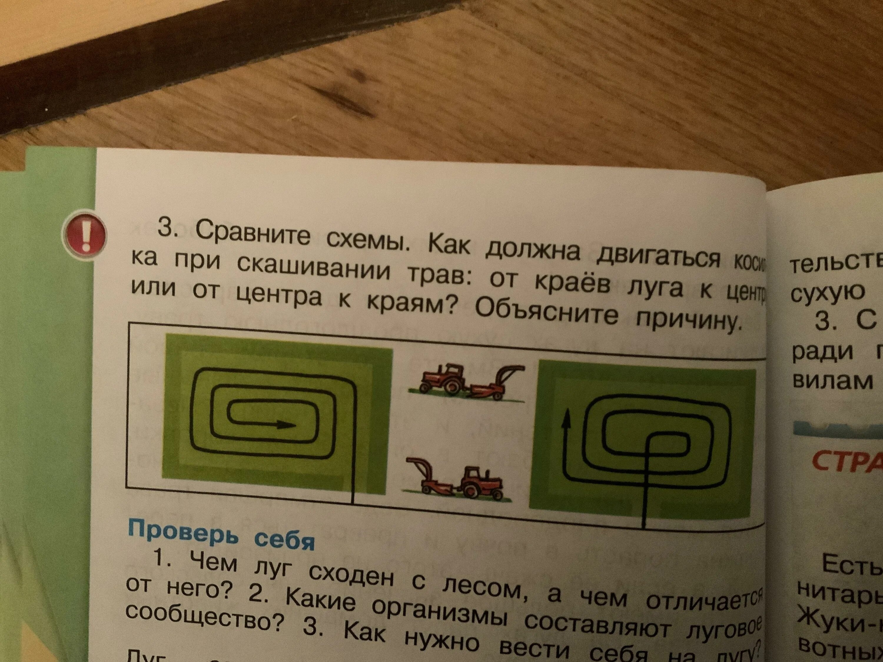 Почему луг начинают косить из центра. Как надо скашивать траву на лугу. схема скашивания травы на лугу. как косить траву от центра к краю или. как правильно скашивать луга.