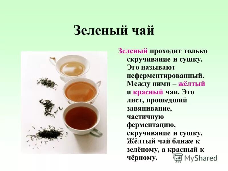 Различия черного и зеленого чая. Черный и зеленый чай. Гёкуро чай. Чем отличается вкус зеленого чая от черного. Черный и зеленый чай.