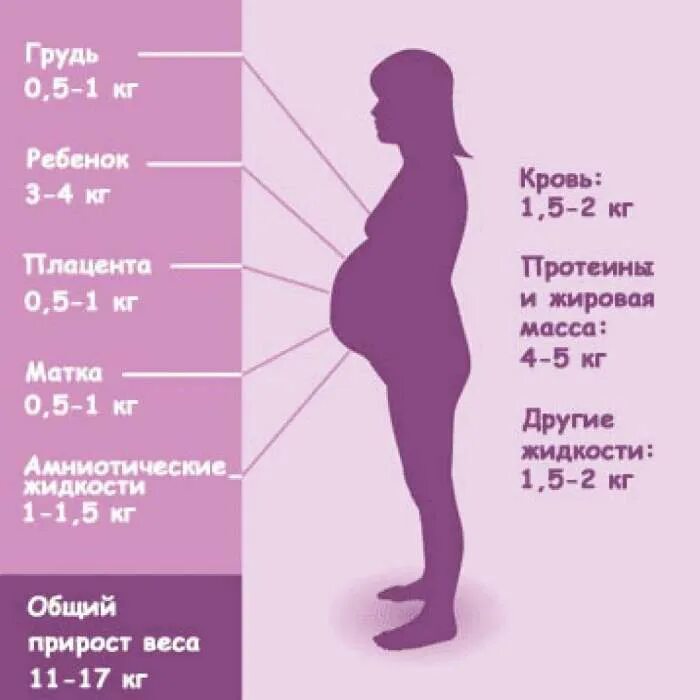 Норма прибавки веса при беременности по неделям 2 триместр. Набор веса при беременности. Набор веса прибеременностм. Норма набора веса при беременности. 34 недели в днях