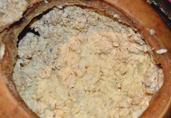 Сыр касу марцу. Касу марцу сыр с живыми личинками. Casu marzu сыр. Сыр касу марцу личинки. Casu marzu сыр.
