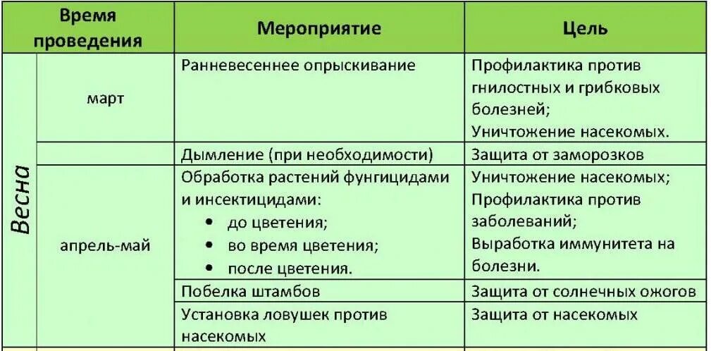 Можно ли обрабатывать во время цветения