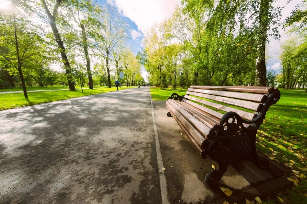 Прогулка ранним утром. Парк Горького скамейки Казань. Hyde Park лавочки. Владикавказ сквер скамейки. Самара парк Гагарина лавочки.