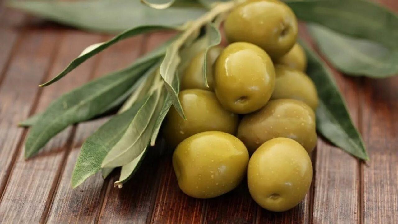 Зайтун меваси. Олива европейская. Оливки зеленые. Оливки и маслины.