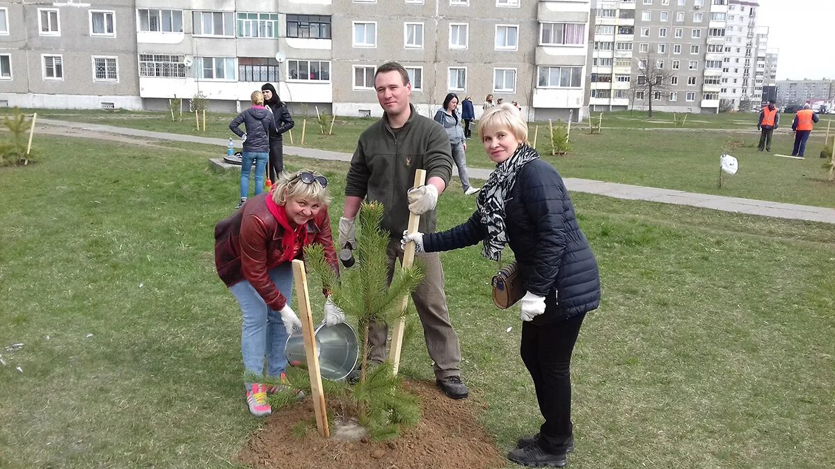 День профсоюза кр. Отзывы работников могилев. Свудс экспорт. Акция посади дерево. Рыб торг могилёв рпботники.