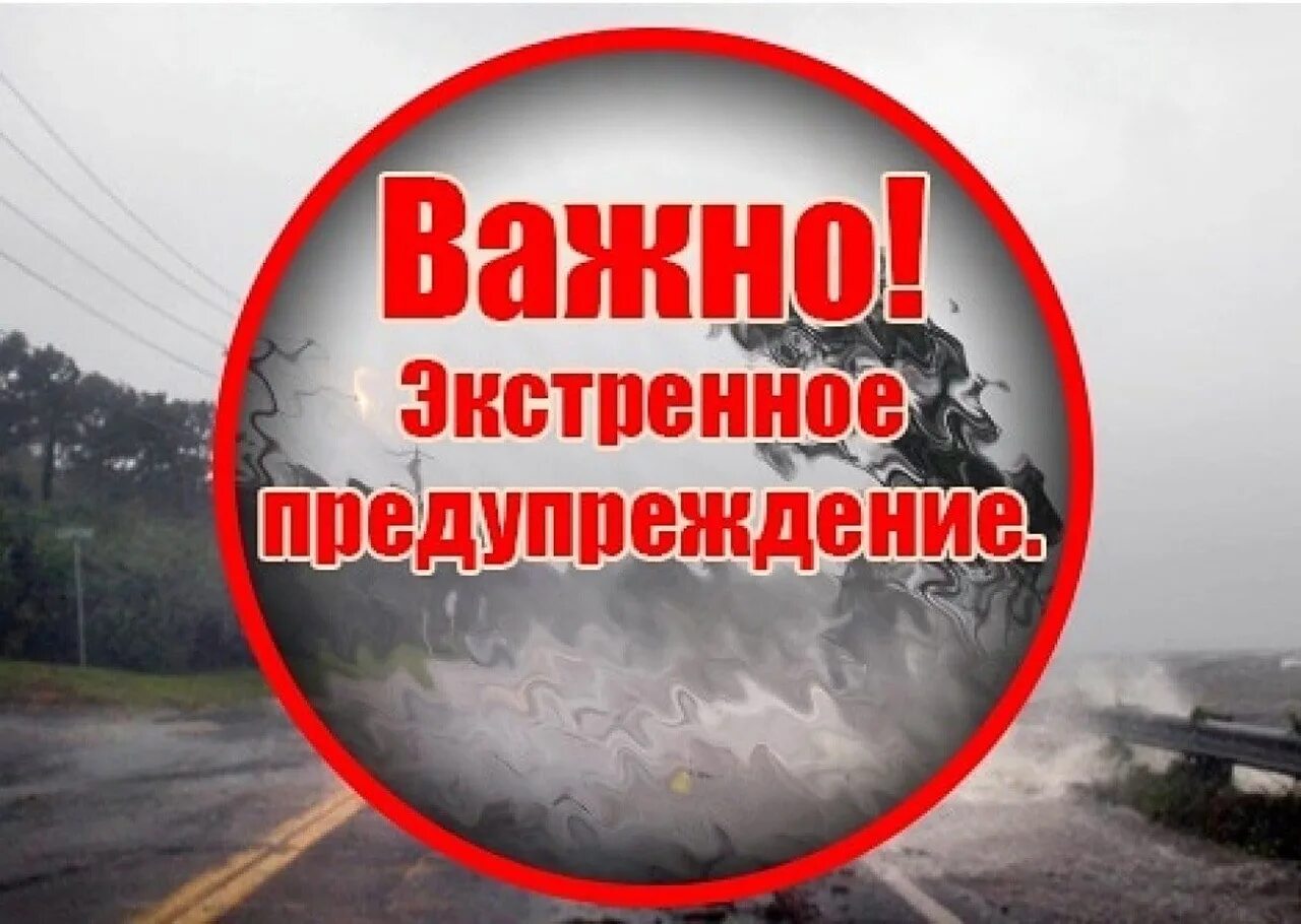 ☀ С приходом весны растет пожарная опасность в лесах по условиям погоды. Объясня