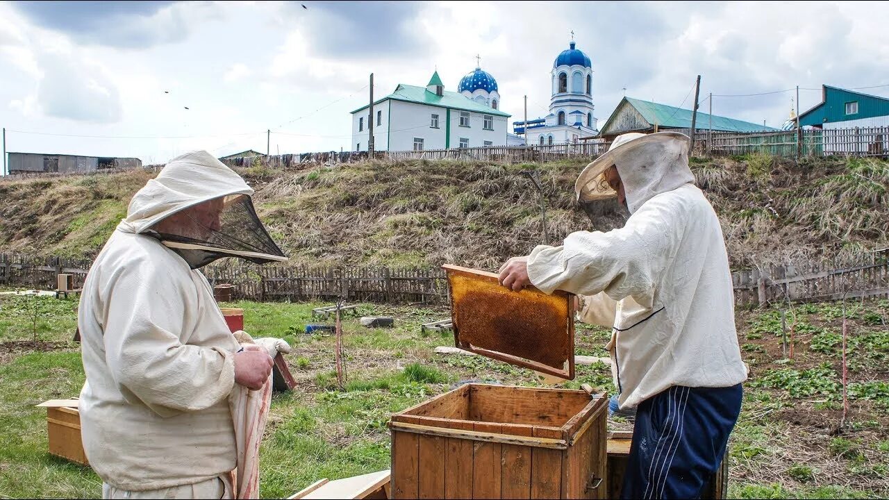 Программа спас монастырская
