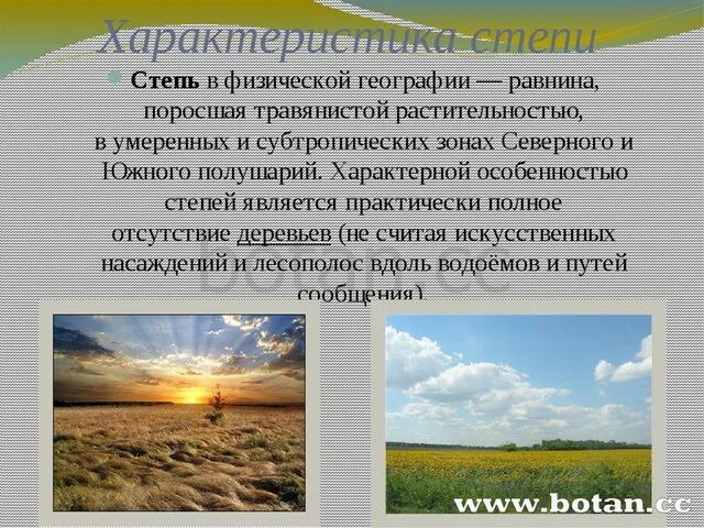 Степь россии характеристика природной зоны. Характеристика степи. Характеристика зоны степей. Характеристика Степной зоны. Природная зона степь описание.