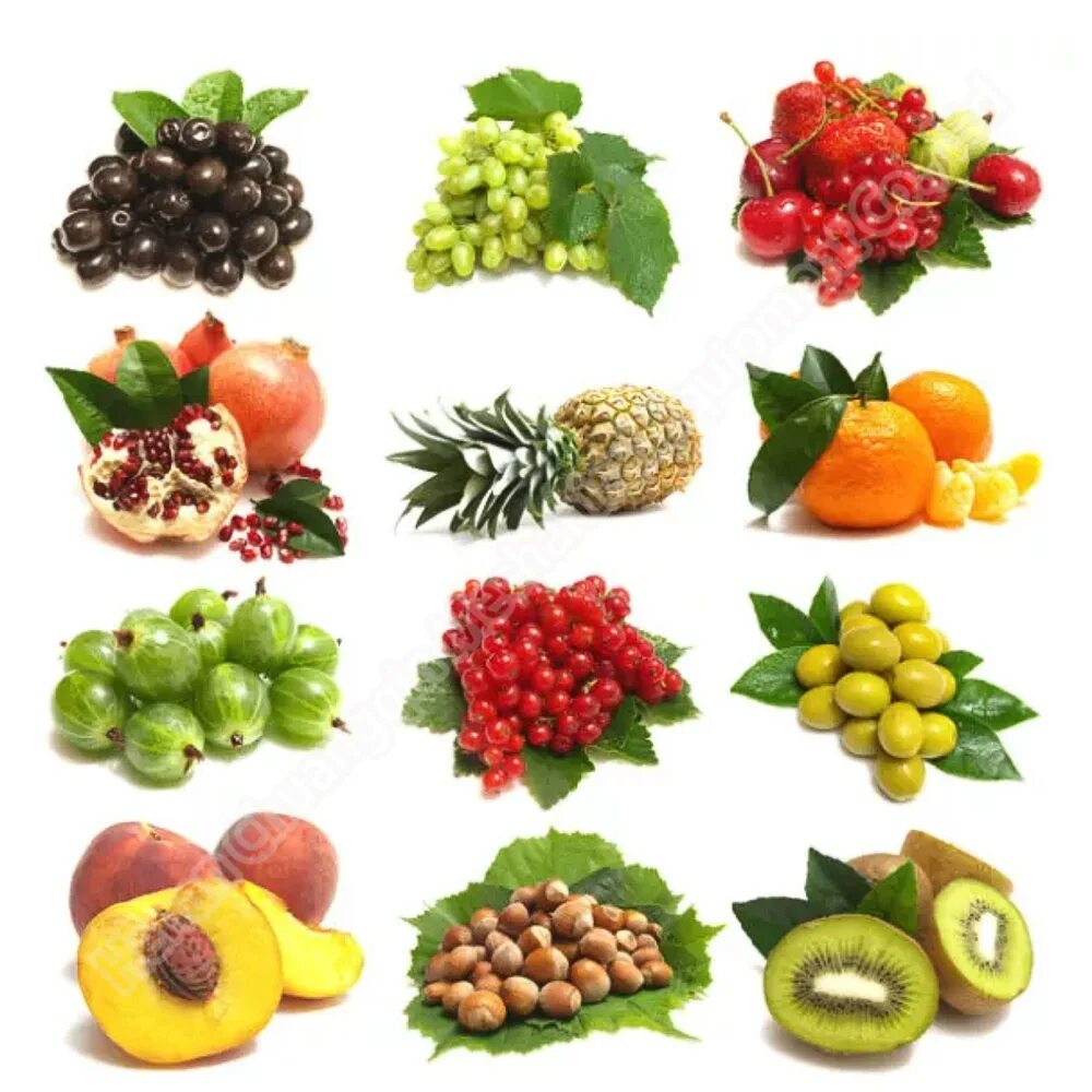Фрукты и ягоды для детей. Овощи, фрукты, ягоды. Разные фрукты. Фрукты для детей. Разные фрукты и овощи.
