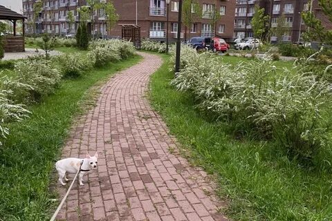 Деревня красногорская