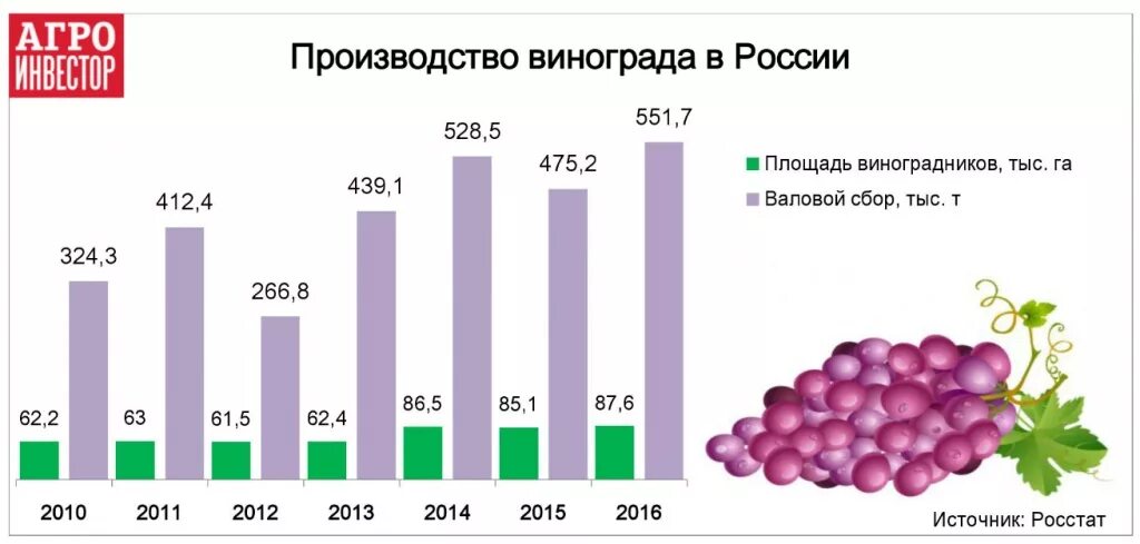 Сколько процентов в крыму. Производство винограда в России статистика. Площадь виноградников в России. Производство винограда страны. Производство винограда в России.