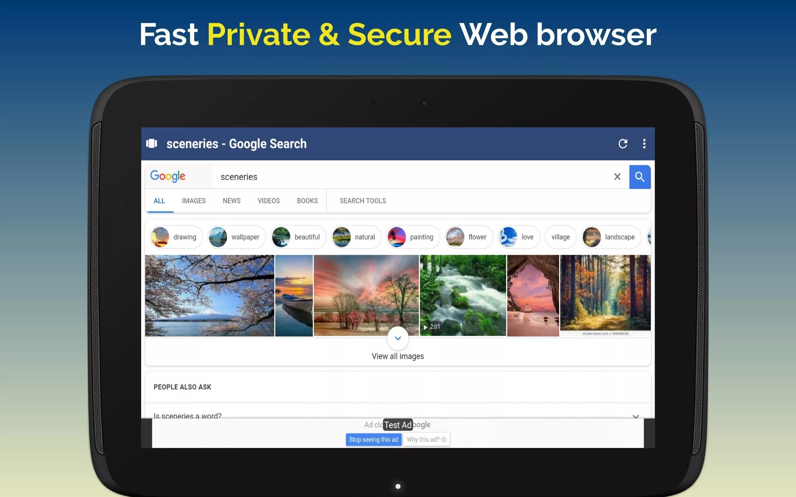 Fast web browsers
