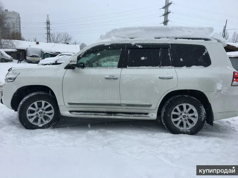 Тойота ленд крузер 200 2008. Lc 200 2011 юбилейный. Toyota land cruiser 200 2015 белый цвет. Тойота ленд крузер 200 2010 черный. Toyota land cruiser 200 2010 человек.