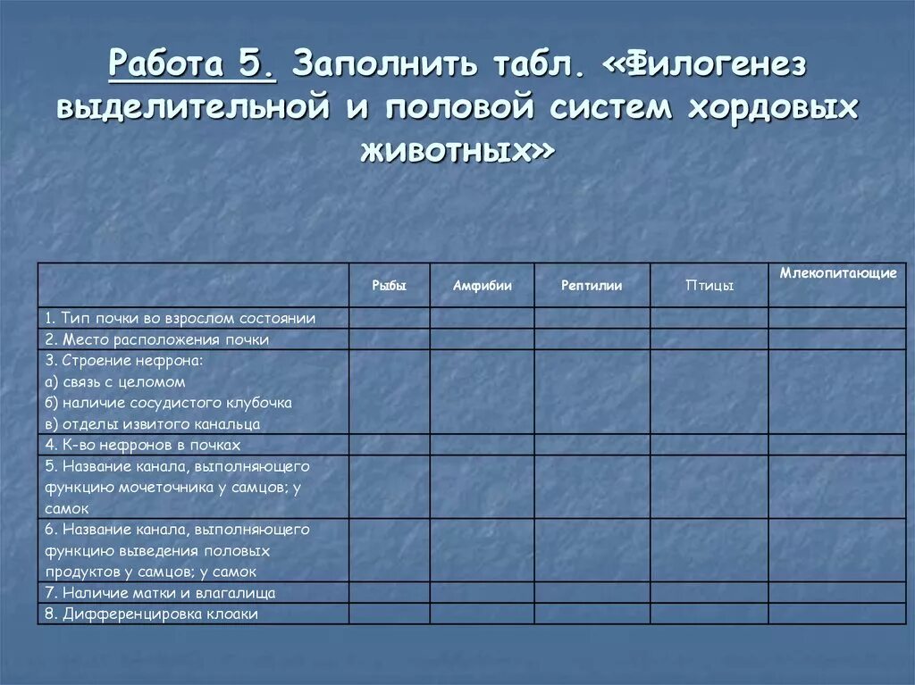 Филогенез систем. Филогенез выделительной системы таблица. Филогенез выделительной и половой систем хордовых животных. Филогенез выделительной и половой систем хордовых животных таблица. Таблица филогенез выделительной и половой систем хордовых.