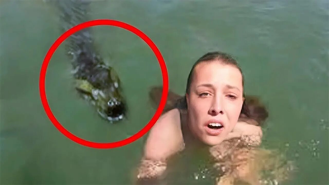 Видео из фото без водяных. Океан под водой. Красивые девушки в бассейне. Человек под водой. Мир под водой.