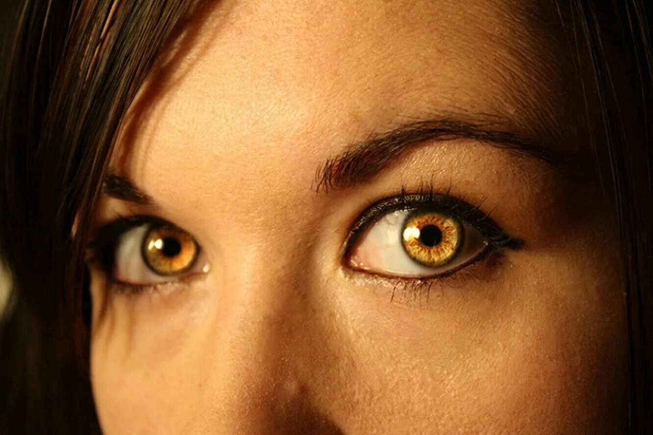 Глаз вон. Желтые глаза. Золотистые глаза. Янтарные глаза. Янтарный цвет глаз.