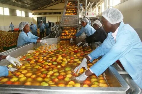 Vegetable processing