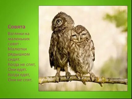 Так сидели они рядышком оба уже