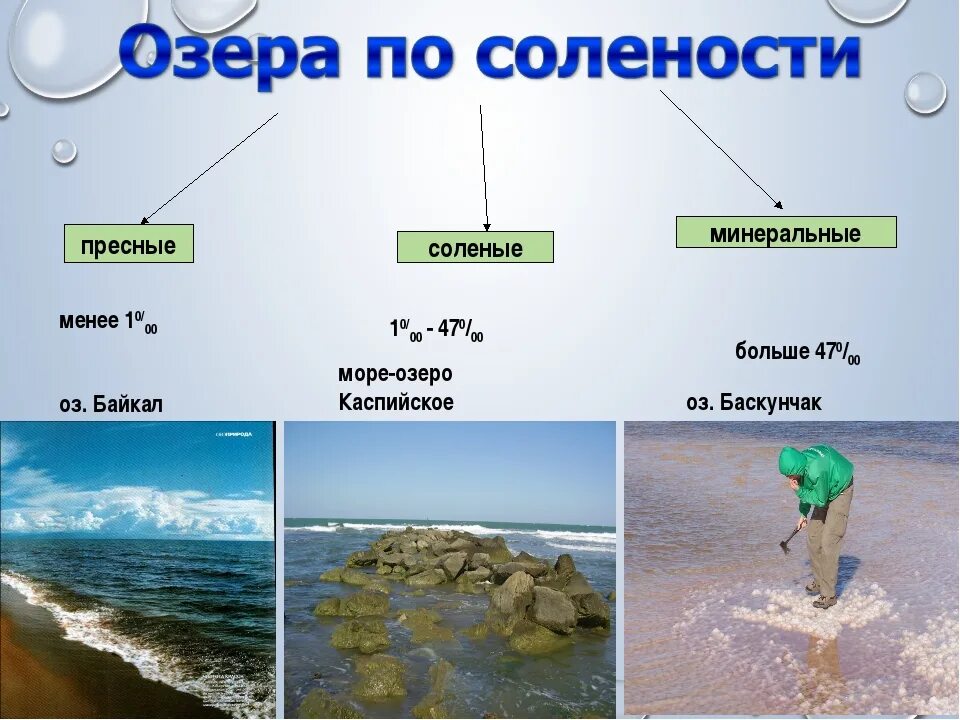 Озера пресные солоноватые и соленые. Пресные озера России. Пресные и соленые озера России. Пресное море. Пресные воды география