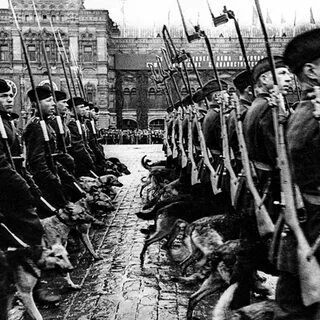 30 июня 1945