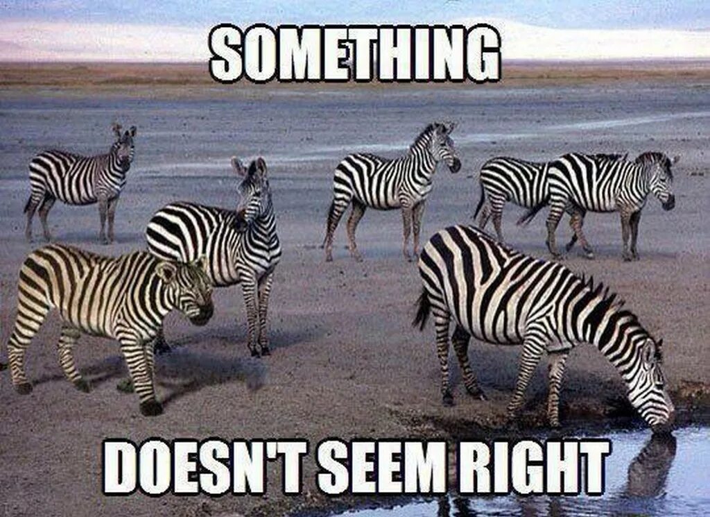 Red nose day charity. Comic relief. Got this. Мотивирующие фразы черно белые. Comic relief.