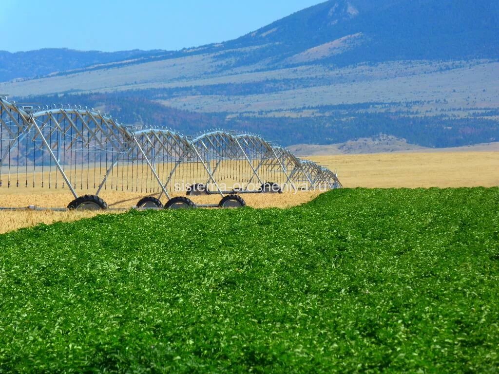 Оросительная система дождевальная машина. Полив дождеванием волжанка. Reinke дождевальные машины. Поля системы источников. Орошаемые поля центральной азии.