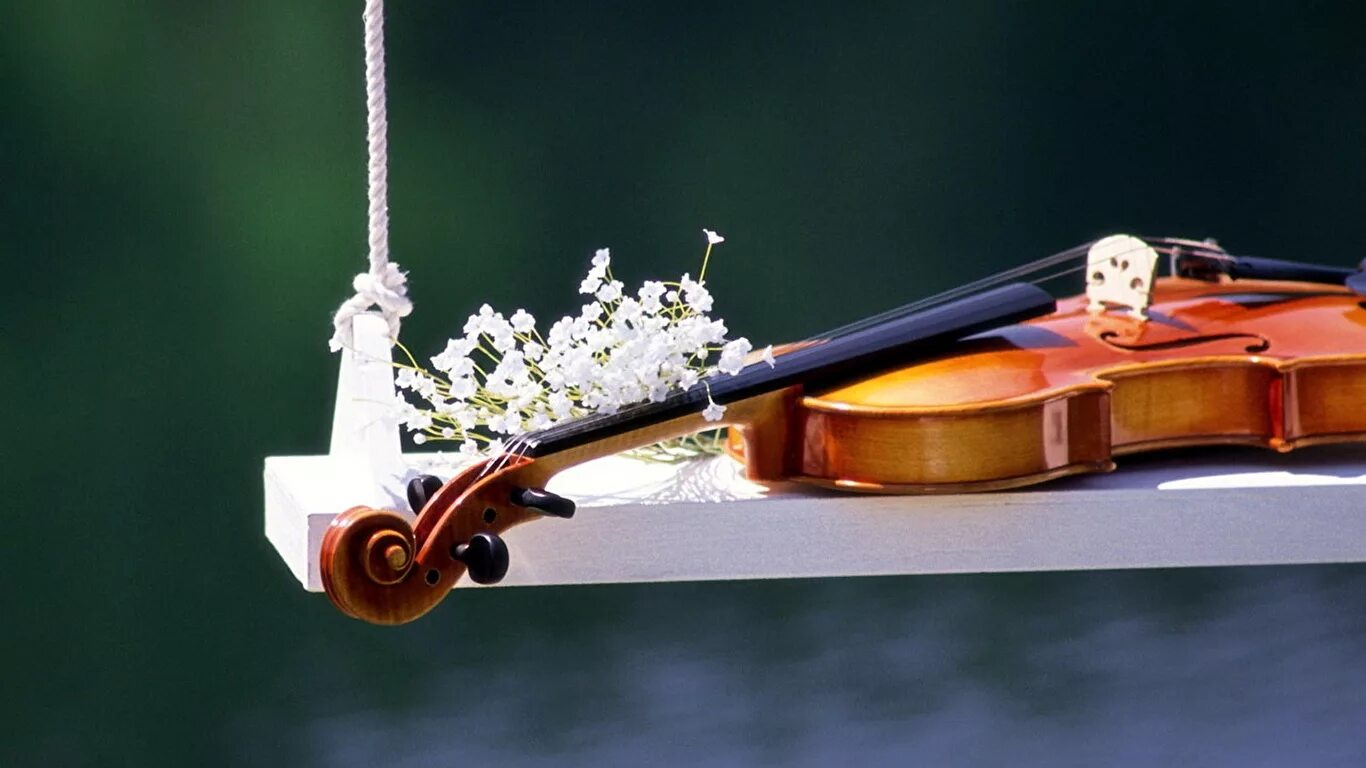 Красивая инструментальная музыка в современной обработке. Музыкальные инструменты и цветы. Скрипка. Музыкальные инструменты с цветами. Музыкальные инструменты на природе.