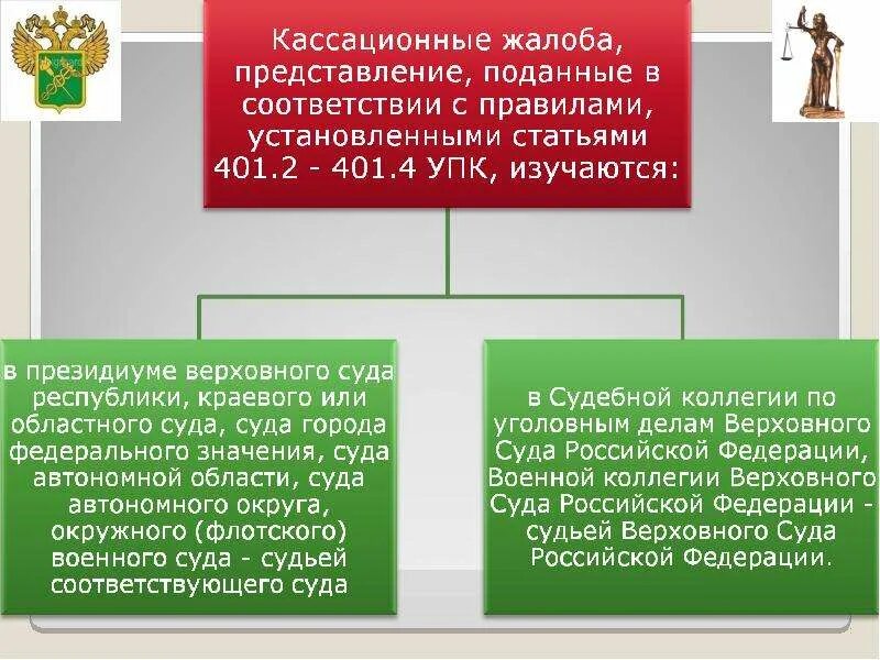 Кассационные жалоба, представление подаются на. Кассационная жалоба и представление разница. Кассационные жалоба представление подаются на УПК. Кассационная инстанция областного суда. Кассация областного суда