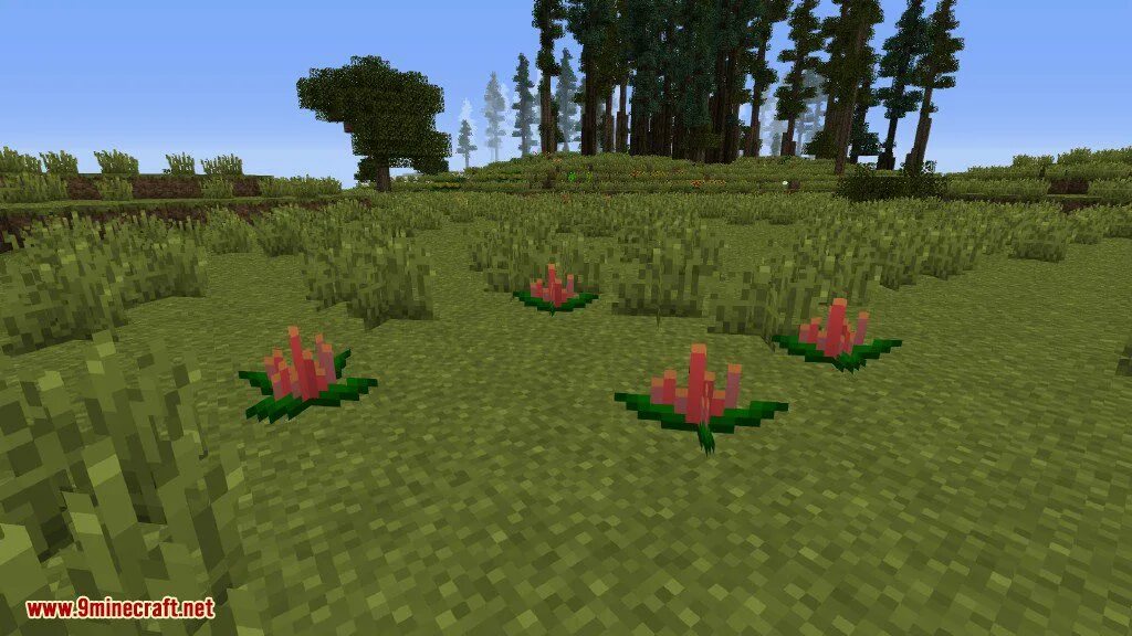 Растение майн. Plants Mod 1.12.2. Растения в МАЙНКРАФТЕ. Цветы в МАЙНКРАФТЕ. Красивые растения в МАЙНКРАФТЕ.