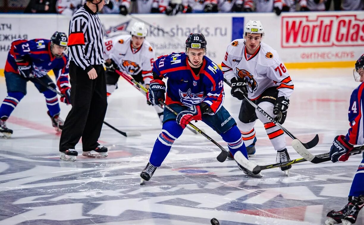 Сахалинские акулы амурские тигры. Хоккей команда. Сахалинские акулы. Хоккей трансляция. Сахалинские акулы амурские тигры.
