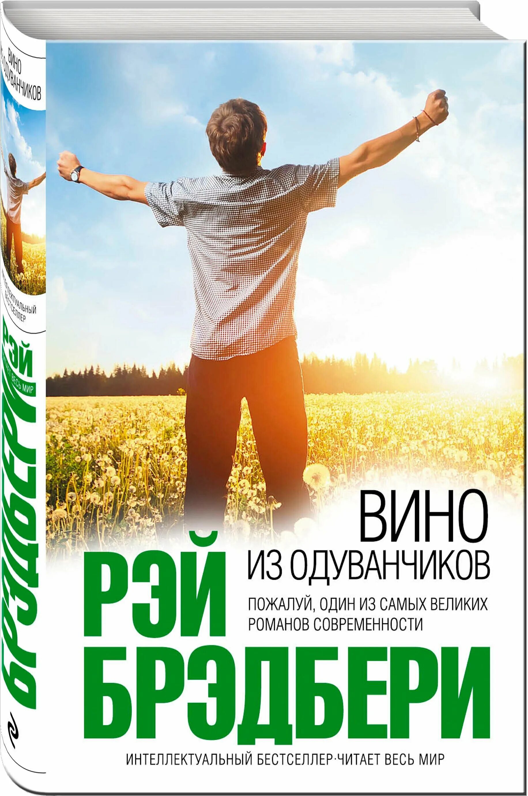 Р брэдбери вино из одуванчиков. Брэдбери обложка. Вино из одуванчиков книга. Слушать брэдбери вино из одуванчиков. Слушать брэдбери вино из одуванчиков.