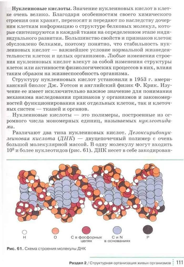 Биология 9 класс мамонтов сонин. Учебник по биологии 9 класс Сонин Захаров. Учебник по биологии 9 класс Мамонтов Захаров. Учебник по биологии 9 класс Мамонтов Захаров Агафонова Сонин. Биология 9 класс учебник Мамонтов Захаров Агафонова.