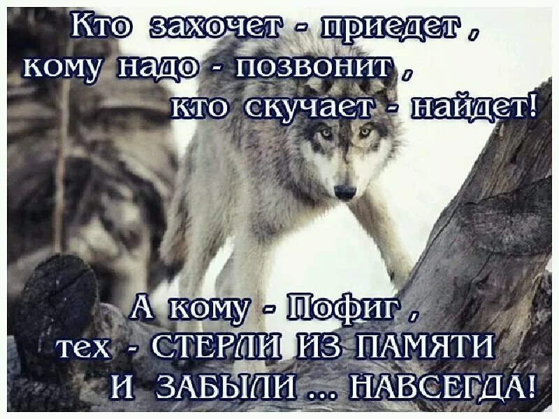 В следующем году приеду. Цитаты кому нужна тот найдет позвонит. Живу по принципу цитаты. Кому нужен я тот позвонит. Кому ты нужен позвонить.