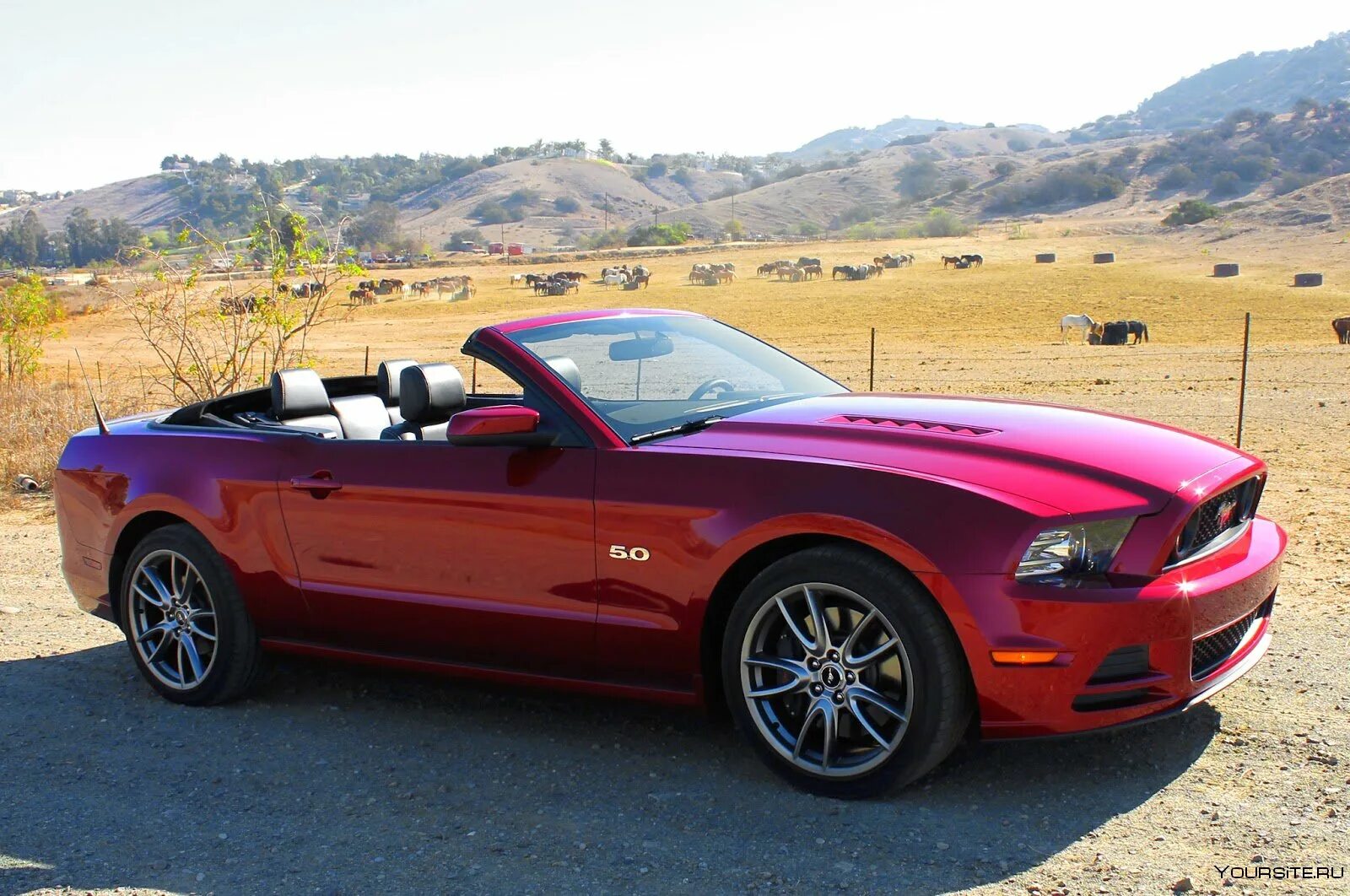 Форд мустанг кабриолет 2021. Ford mustang 2017 кабриолет. Форд мустанг кабриолет фото. Ford mustang 2017 кабриолет. Форд мустанг 2015 кабриолет.