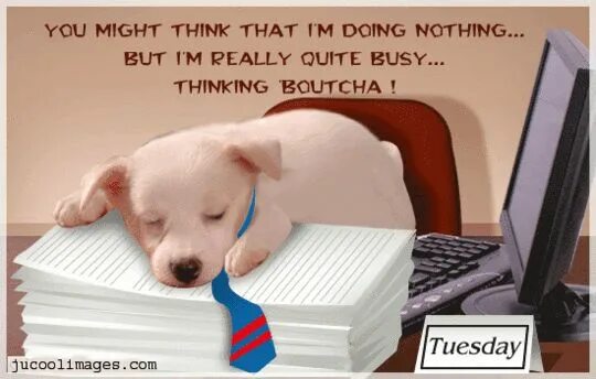 Стикеры вторник. Надпись tuesday. Открытки happy tuesday. Busy tuesday. Hello алфавит.