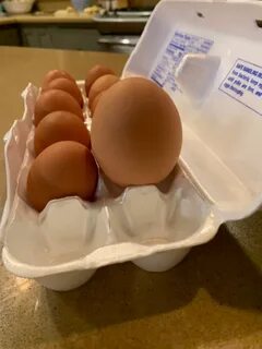 Egg astd
