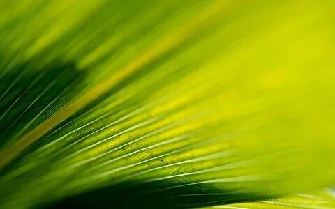 Ultra yellow