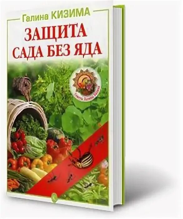 Еда без хлопот. Еда без хлопот