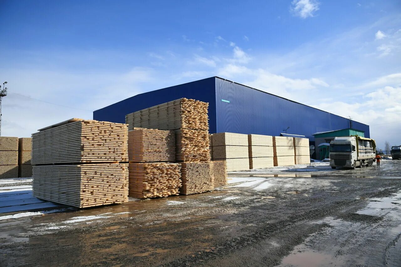 мебельный цех. вологодский лесоперерабатывающий комбинат. столяр плотник. лесная и деревоперерабатывающая промышленность. рабочий деревообработки.