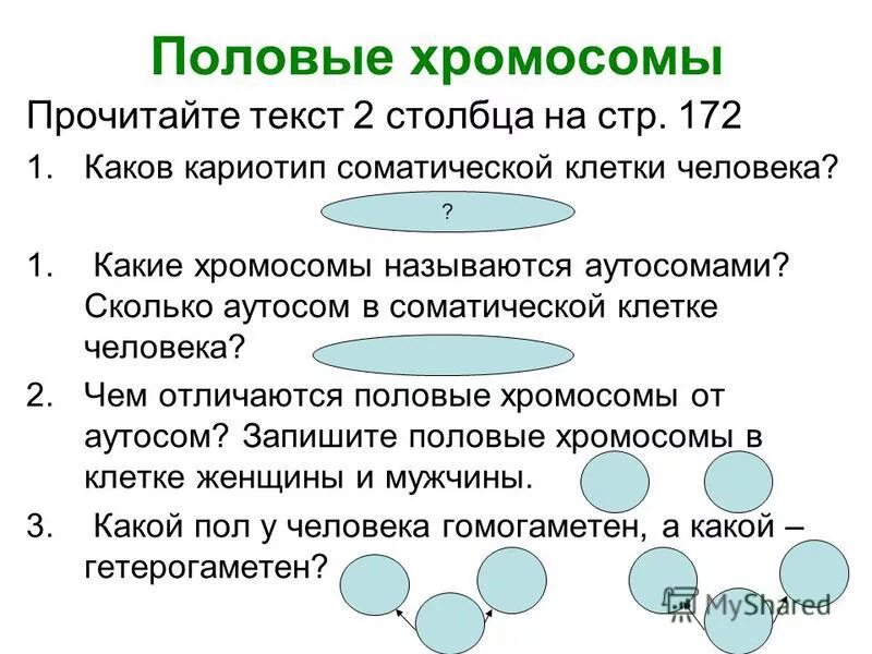 Сколько аутосом содержит соматическая клетка. Сколько аутосом содержит соматическая клетка