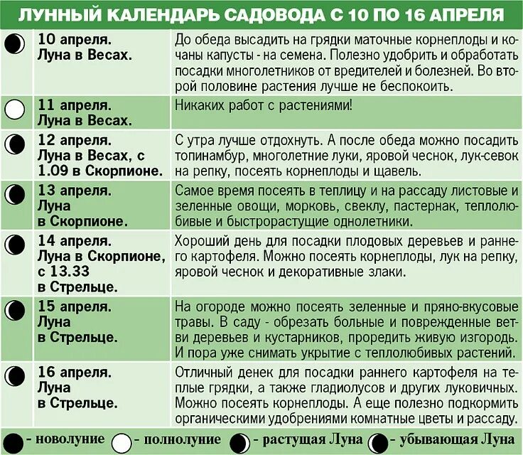 Что можно сеять на убывающую луну. Что можно садить на убывающей Луне. Какие овощи сажать на убывающей Луне. Что можно сажать в полнолуние.